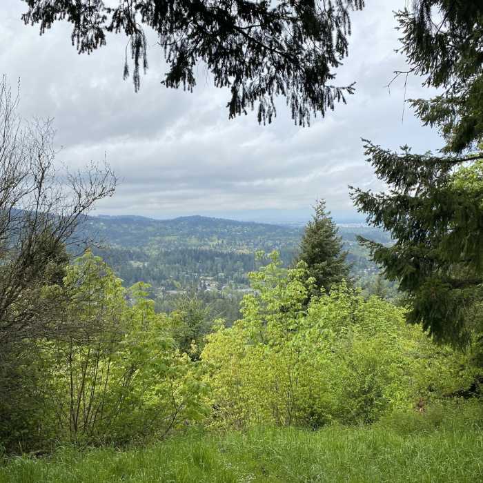 Near Mt. Baldy Ridgeline Trail