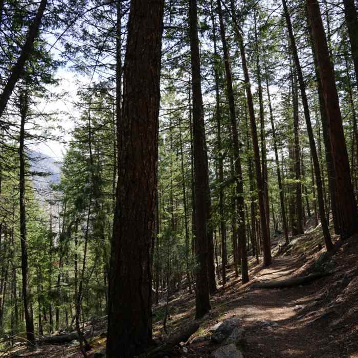 Near Crosier Mountain Garden Gate Trail (#931)