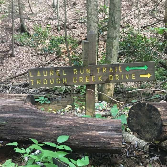 Near Balanced Rock-Laurel Run Loop Hike