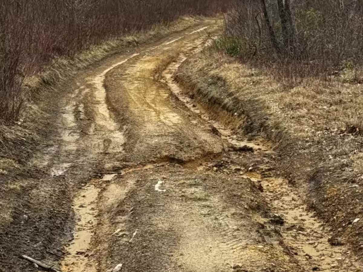 Bartley Hollow Road photo 6