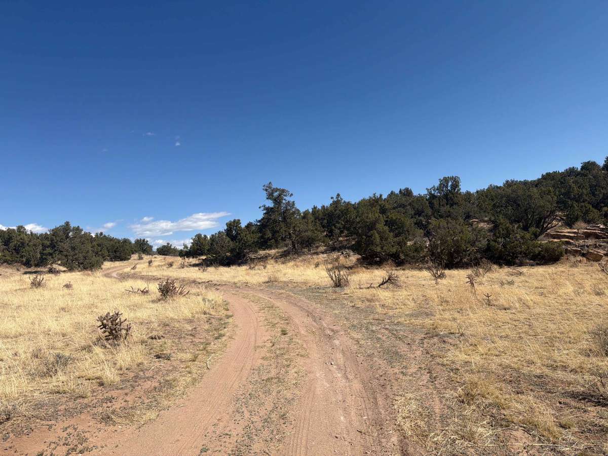 BLM 5935E trail photo