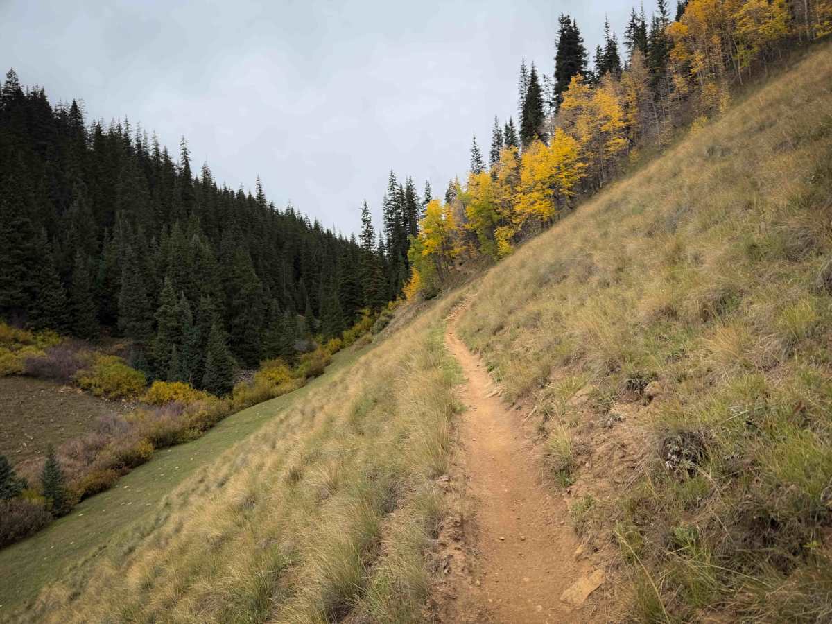 Deadman Gulch Trail - FS 420  trail photo