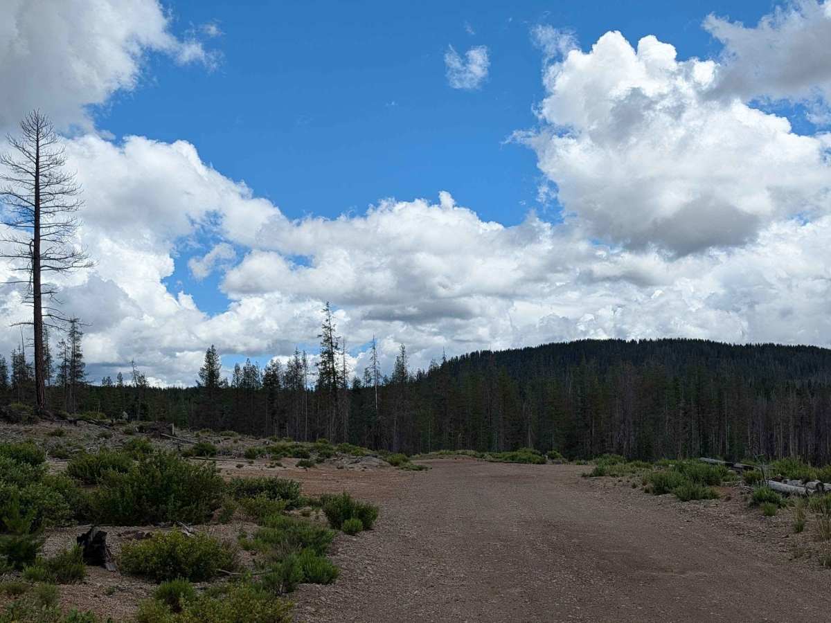 Pumice Mountain West - FS 43N15 photo 5