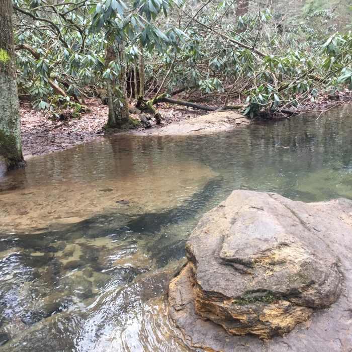 Tibbs Run at one of two stream crossings on Tibbs Crossing Loop Near Wetland Loop Trail