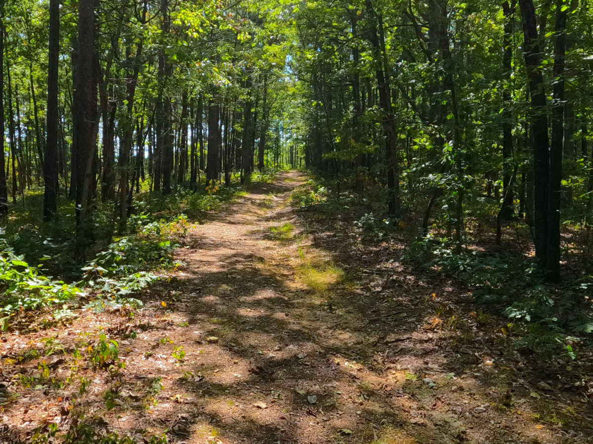Pleasant Grove Church - FS 2524 trail photo