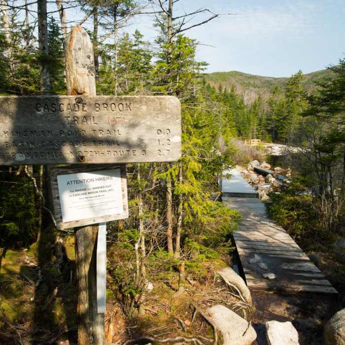 Near Lonesome Lake via Basin Cascade + Cascade Brook Trails Near Lonesome Lake via Basin Cascade + Cascade Brook Trails