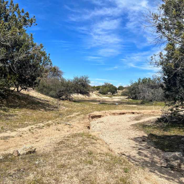Near Arizona Trail Passage 10: Redington Pass