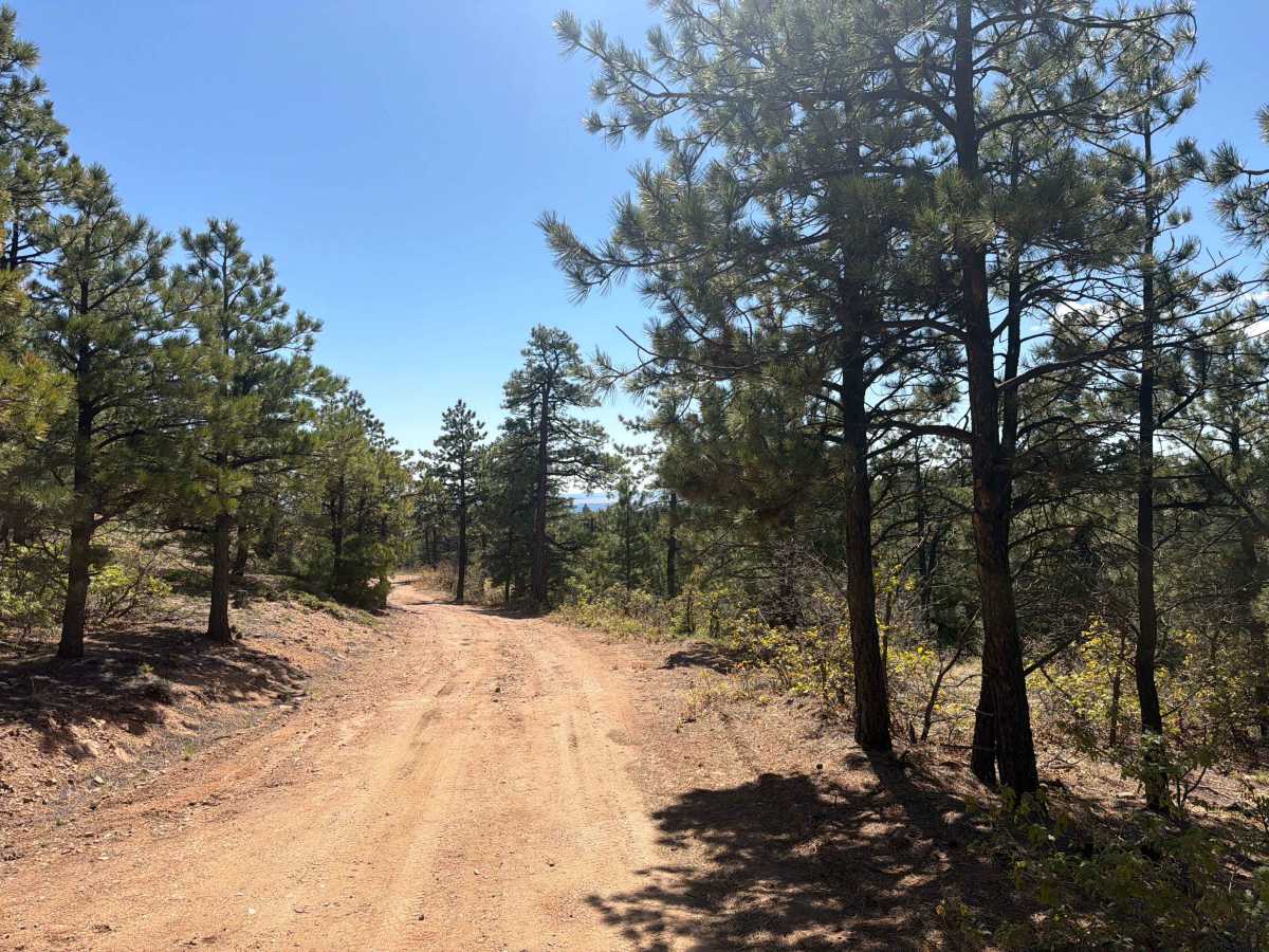 Meade Road photo 6