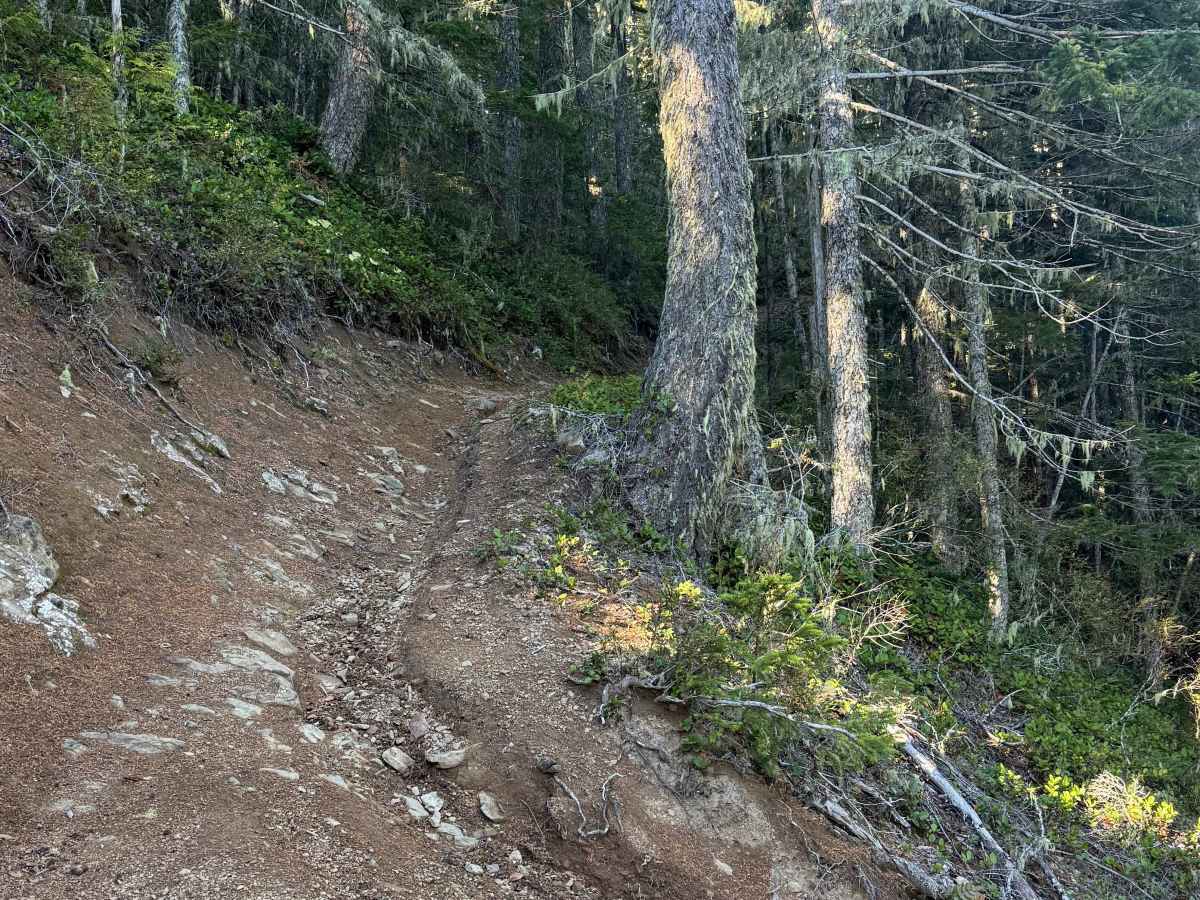 The switchbacks photo 2