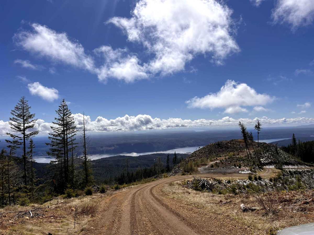 Olympic Heights trail photo