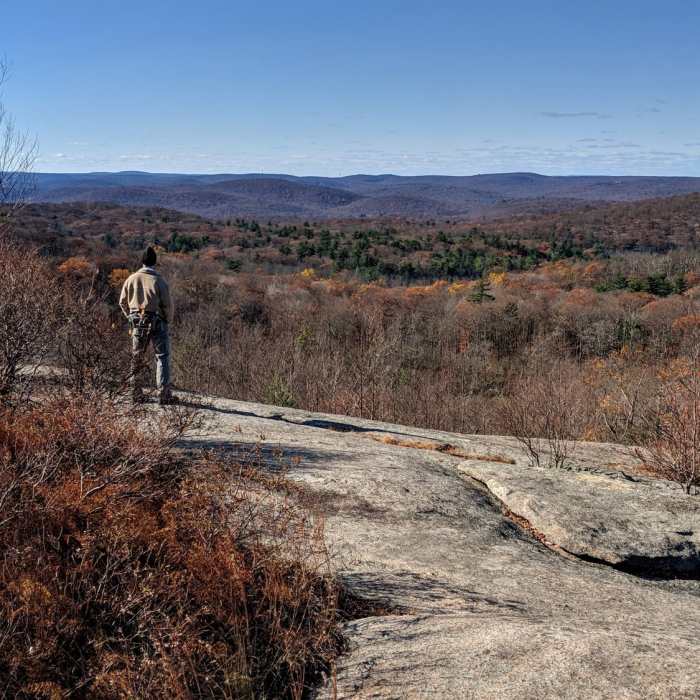 Near Lemon Squeeze, Bowling Rocks, and Valley of Boulders Loop