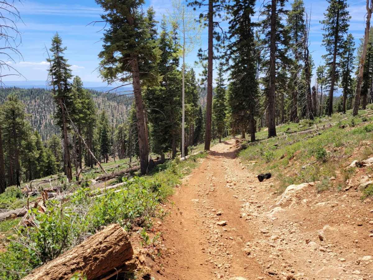 Harris Rim Loop Connector photo 6