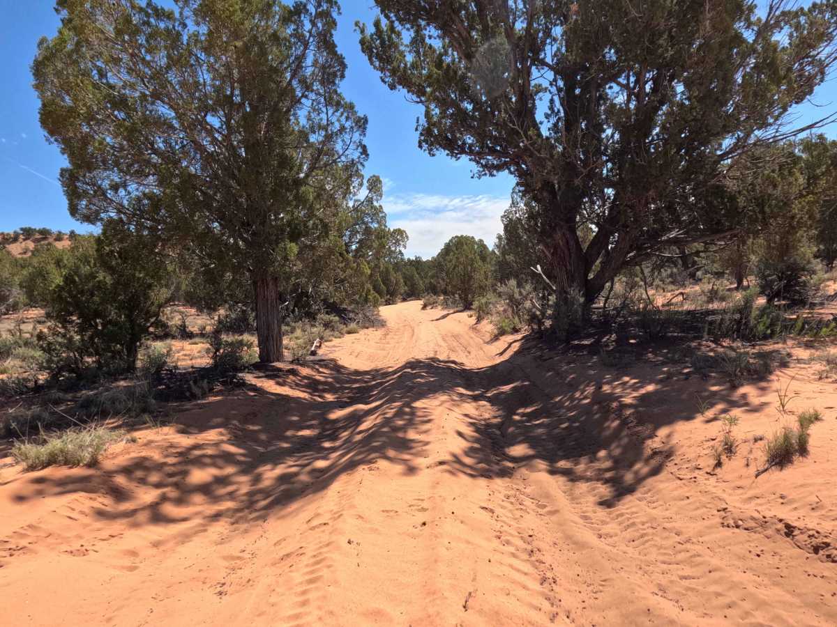 BLM 106G trail photo