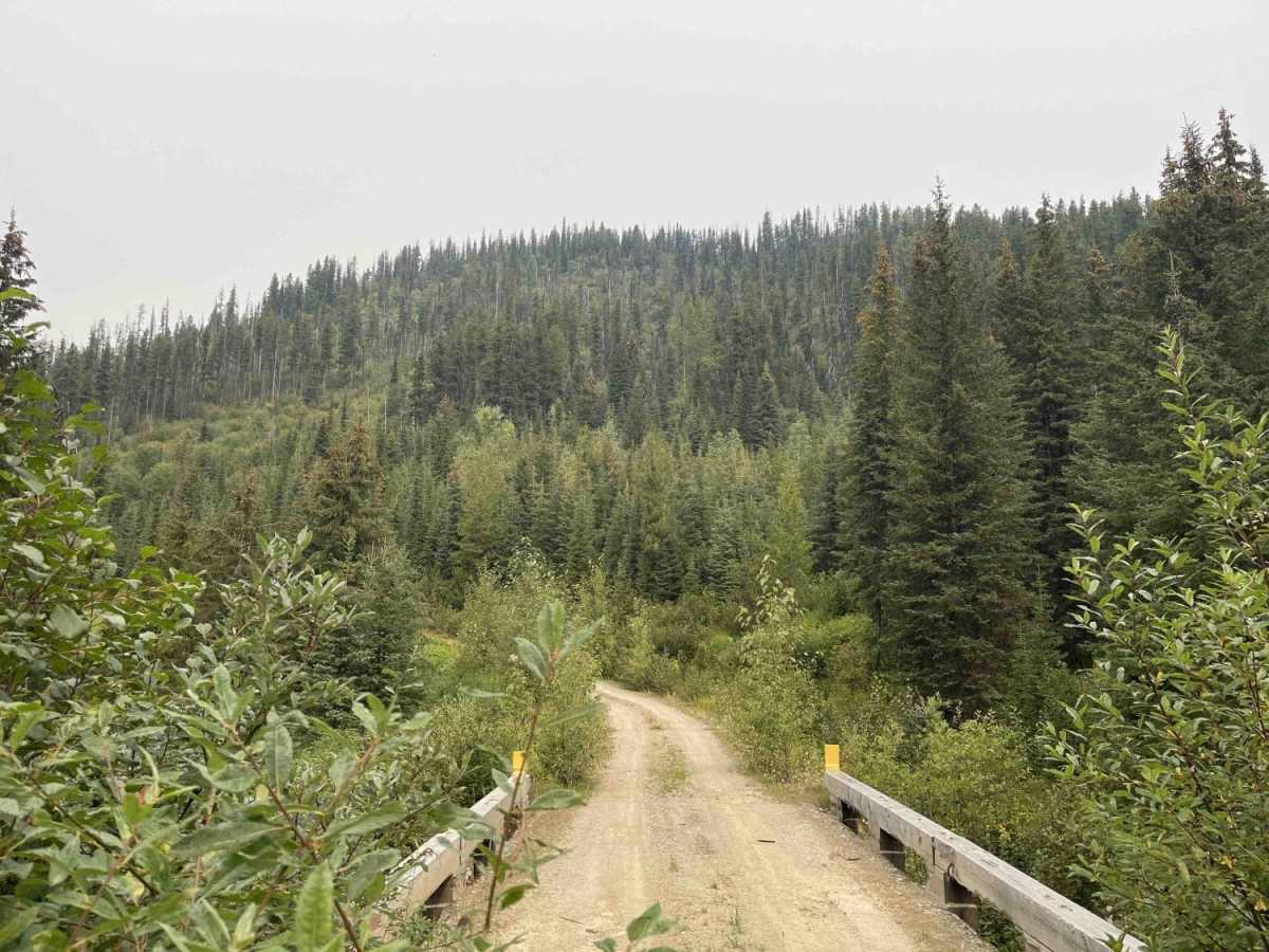 Eureka Road trail photo