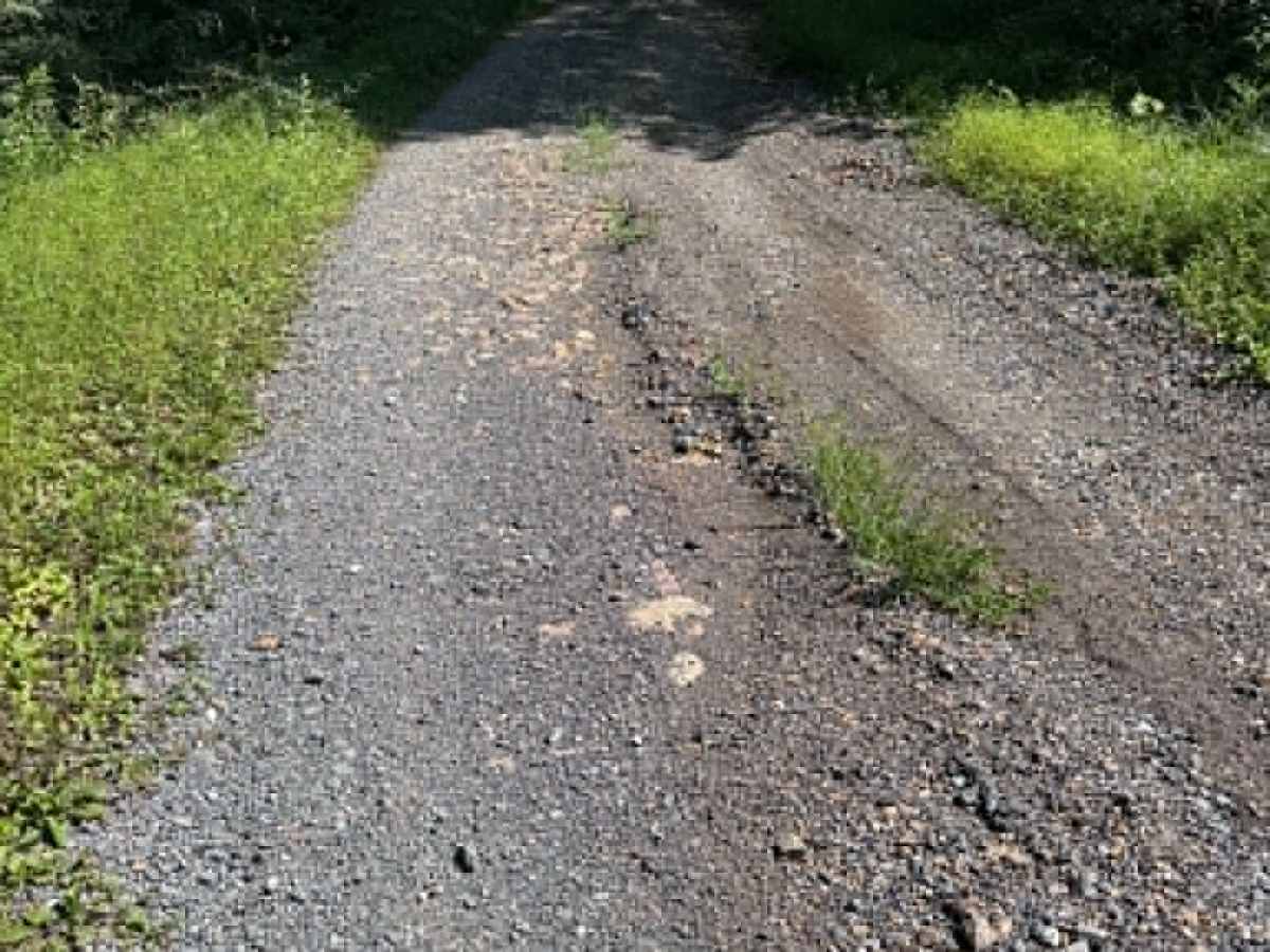 Younkers Bottom Road photo 4
