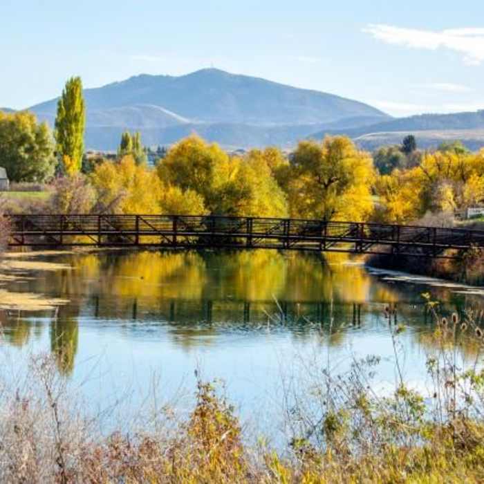 Near Wellsville Pond