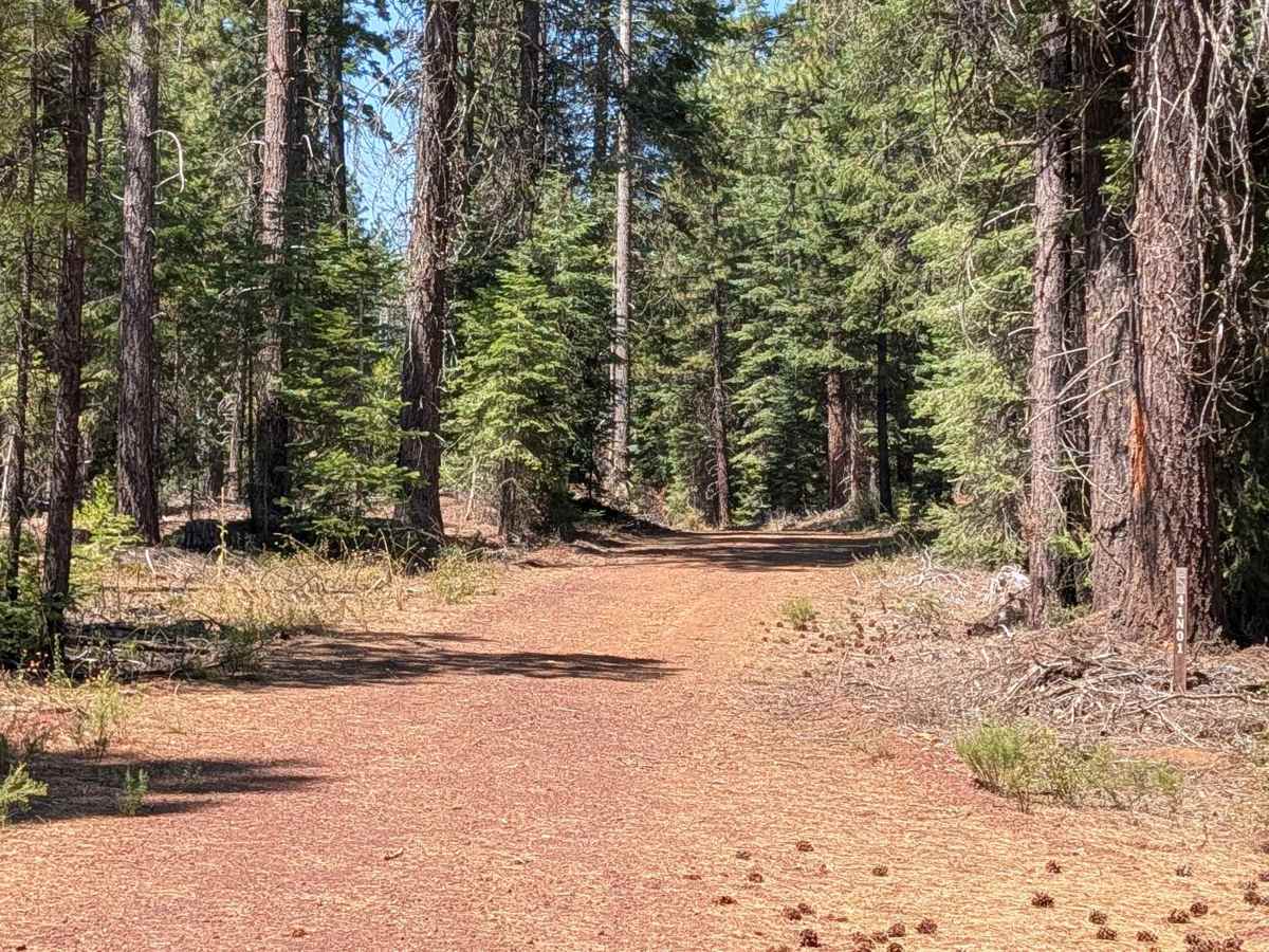Porcupine Lake - FS 41N01 trail photo