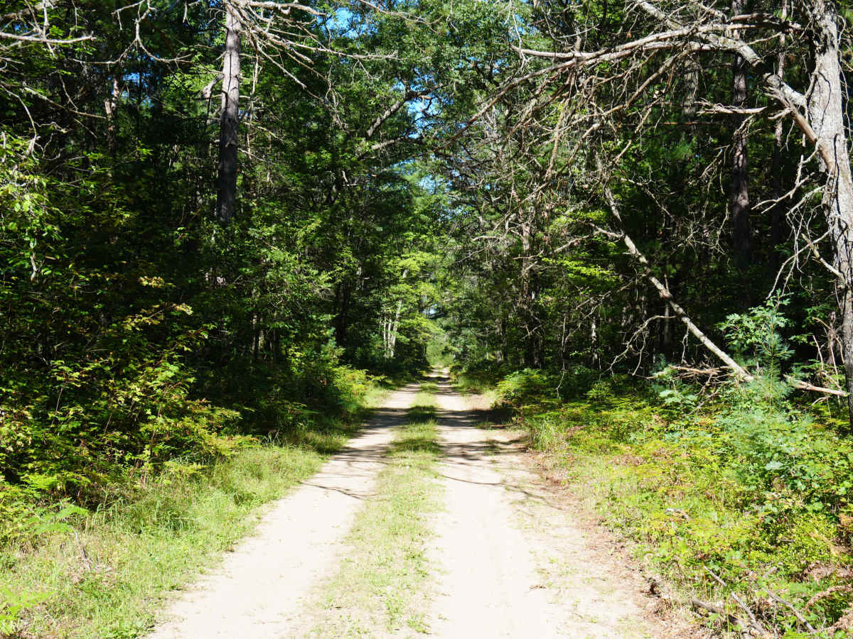 Tillman Road photo 3