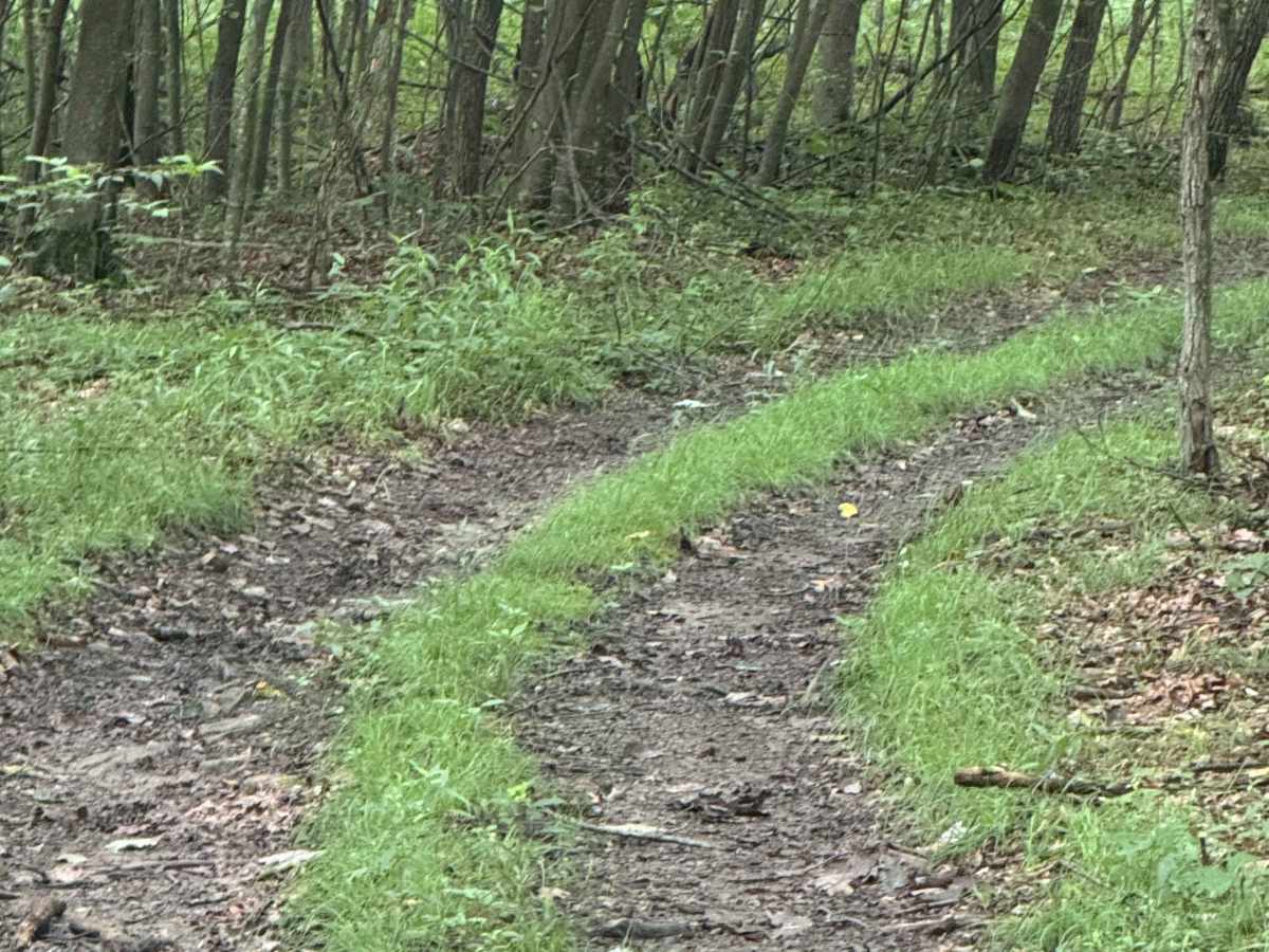 Trail 13 photo 5