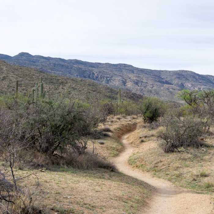 Near Wildhorse to Douglas Springs Loop