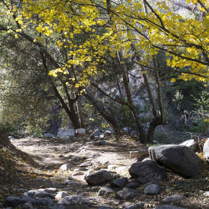 Near Switzer Falls Hike via Gabrielino Trail