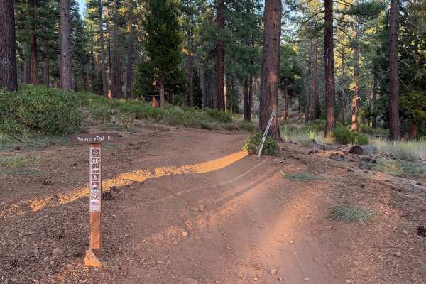 Beaver Tail Trail (Lower)