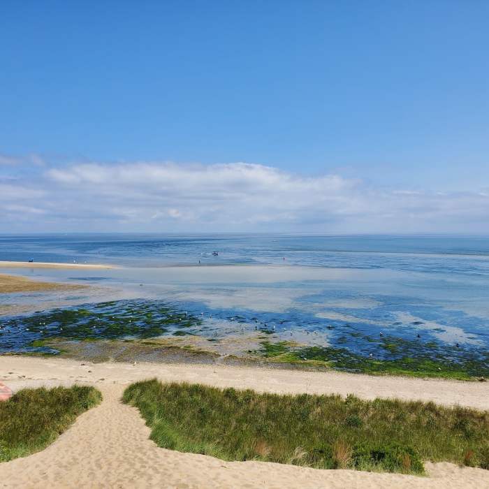Near Long Island Greenbelt Trail