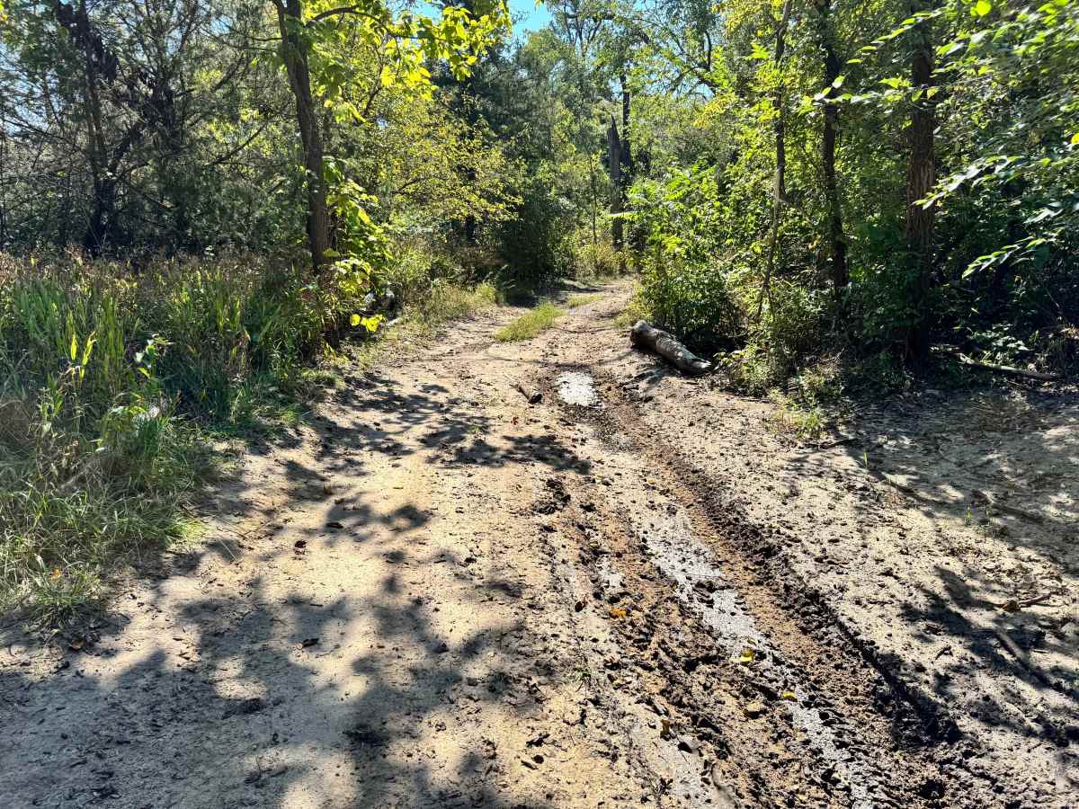 Torque Spec Trail photo 4