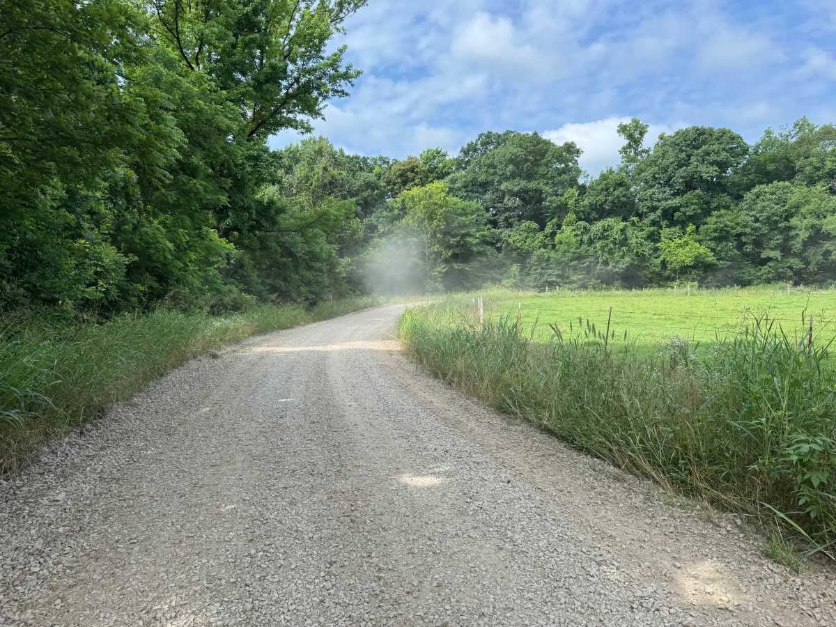 Minnow Creek Road - 3611 photo 6