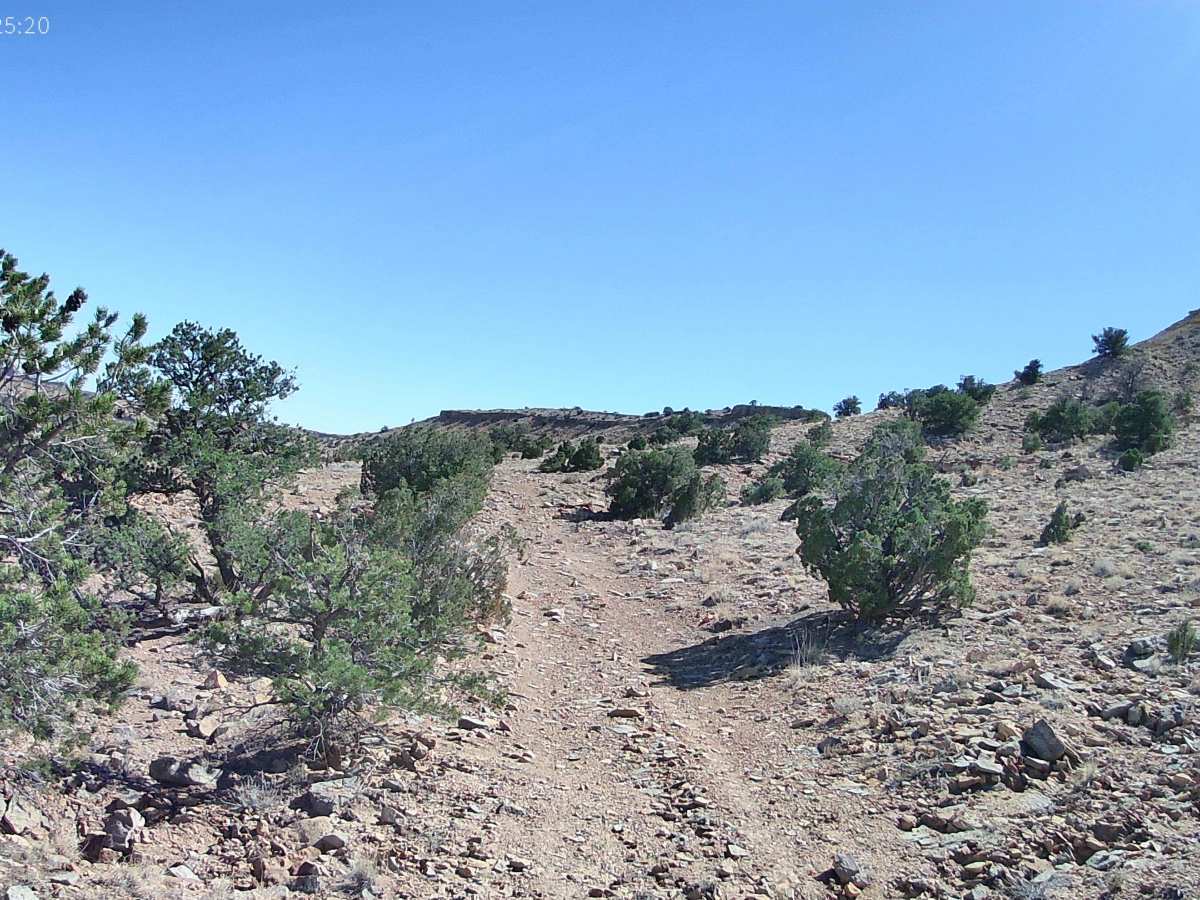 Dragon Scale Rocks trail photo