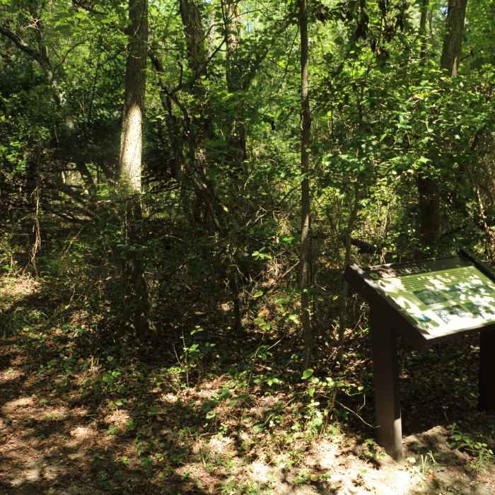 Camp SP4, The Original Camp Site Near Parvin Lake Trail