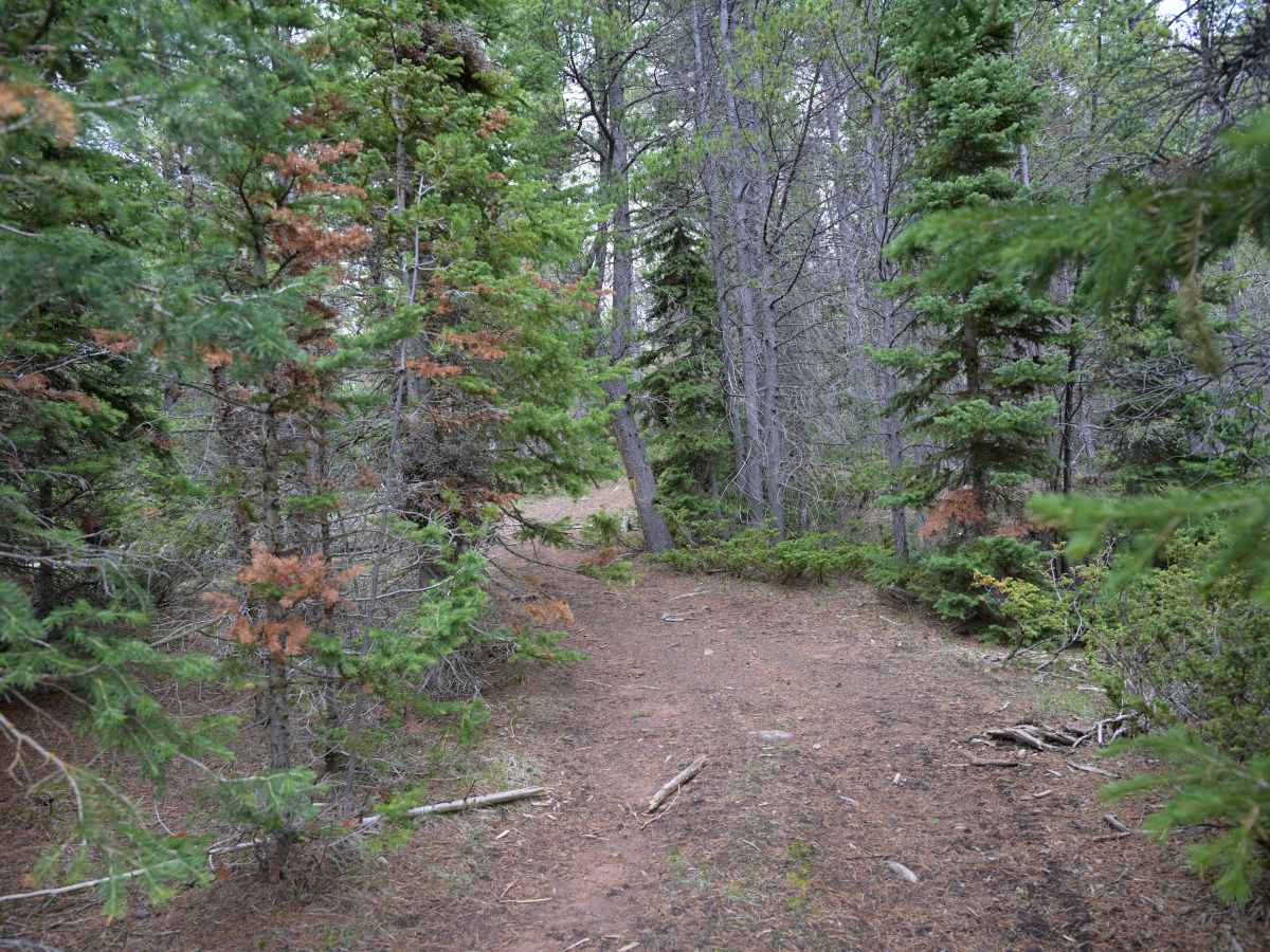 Pothole - FS 10256 photo 4