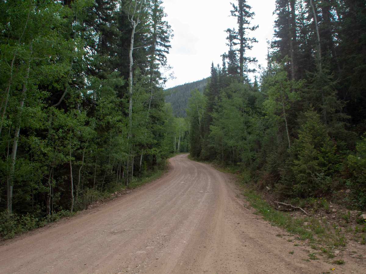 Hickerson Park-Birch Creek - FS 10221 photo 4