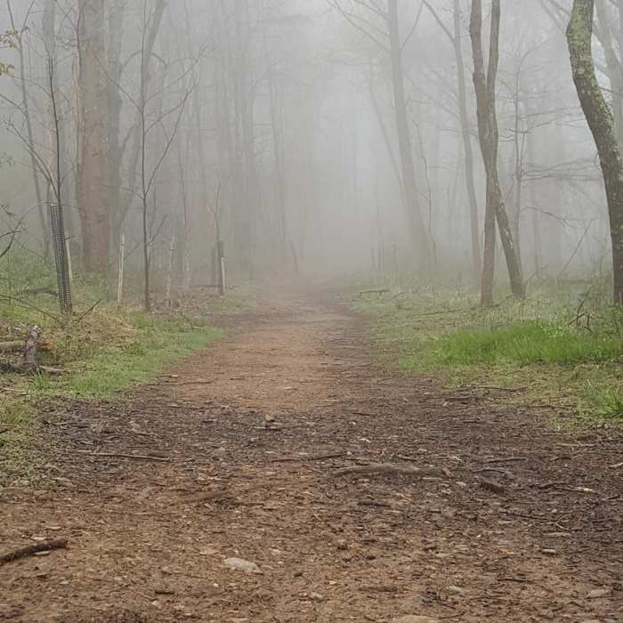Near Seneca Creek Greenway Trail