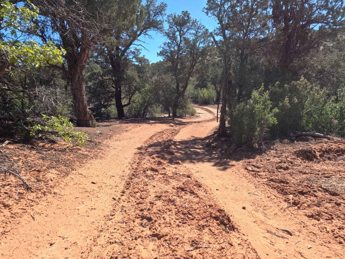 BLM 73Q trail photo