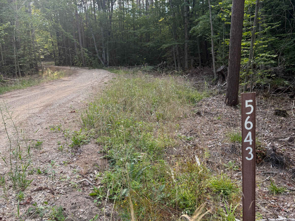 FS 5643 trail photo