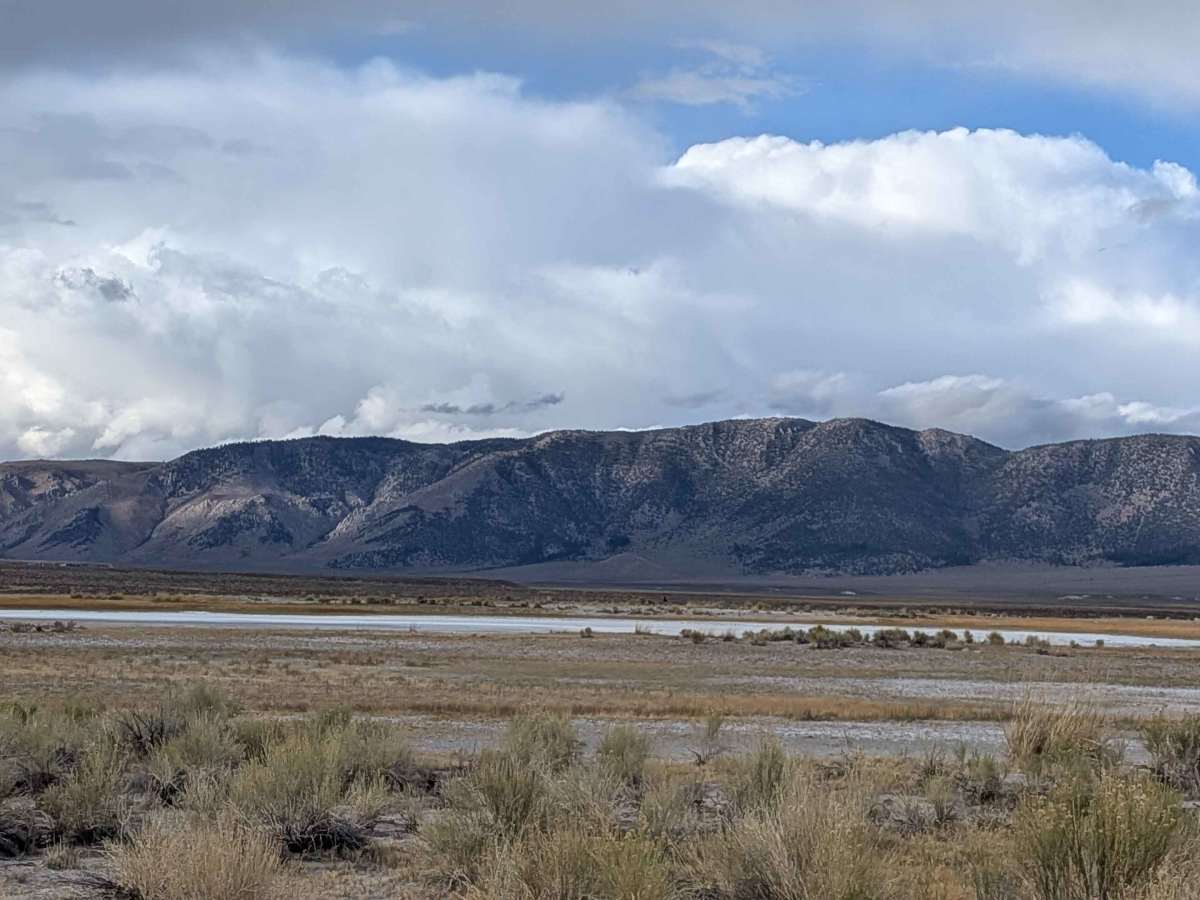 Wild Willy's Hot Springs photo 6