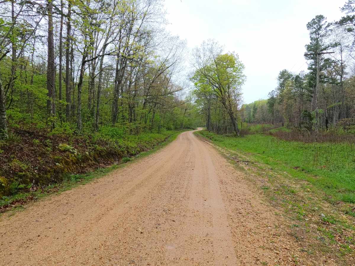 Enough Road - ICR 16 FS 2768 photo 6