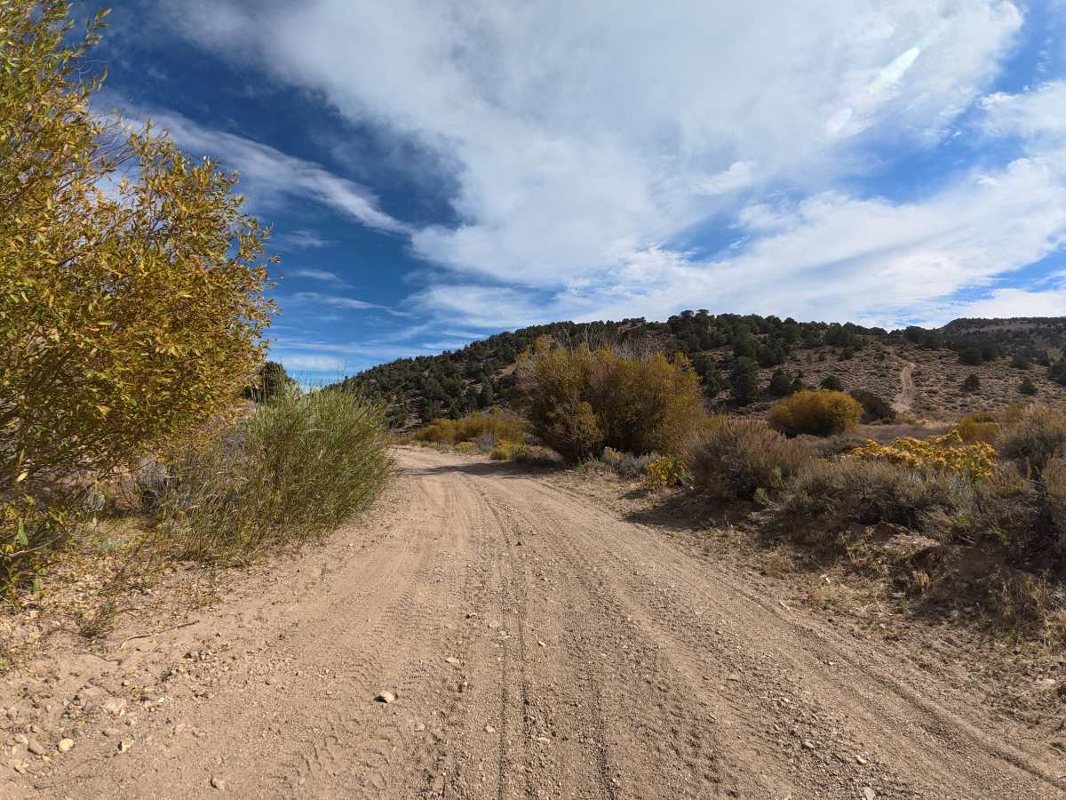 Masonic Gulch trail photo