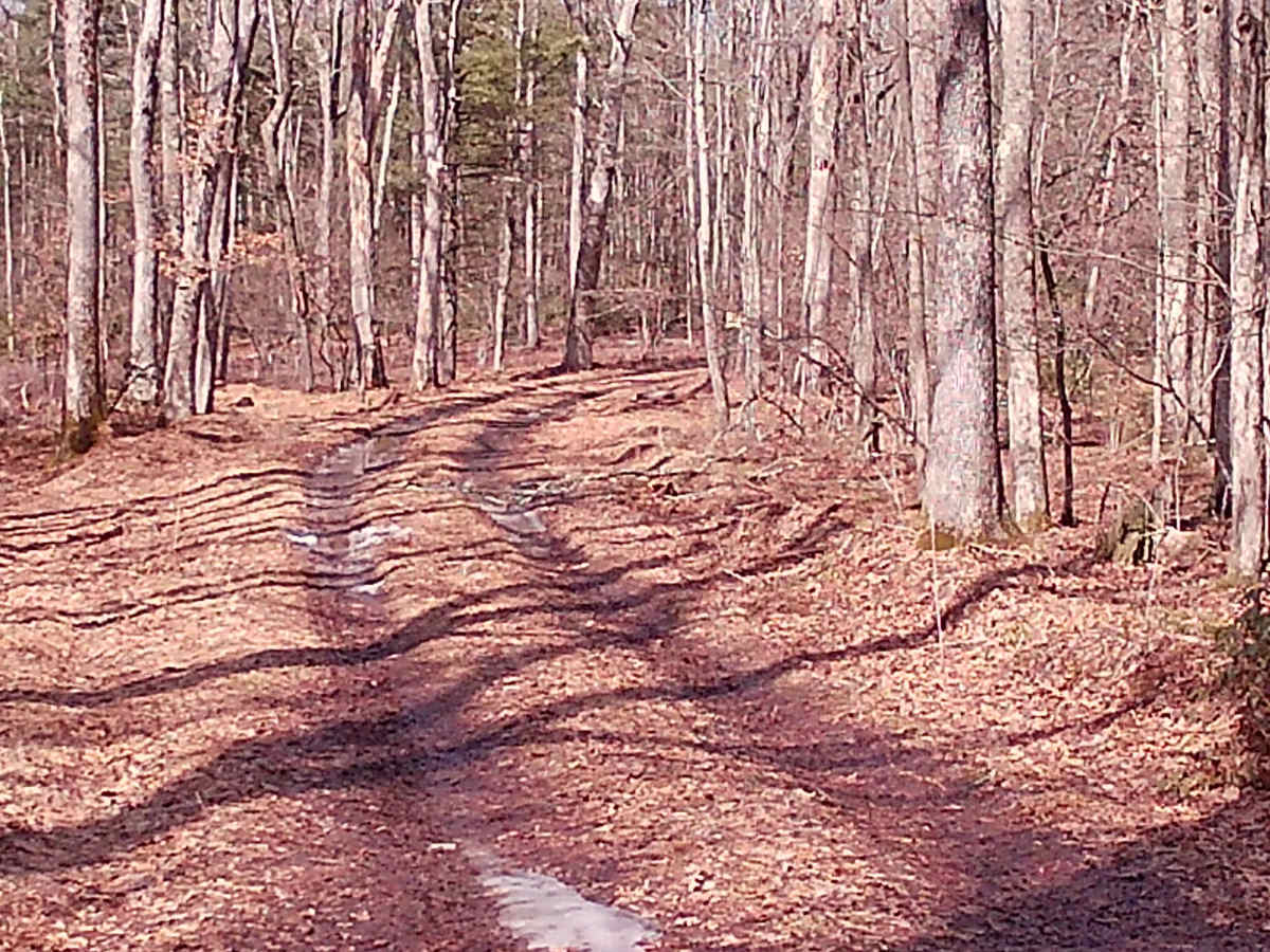 Zimmerman Road photo 3