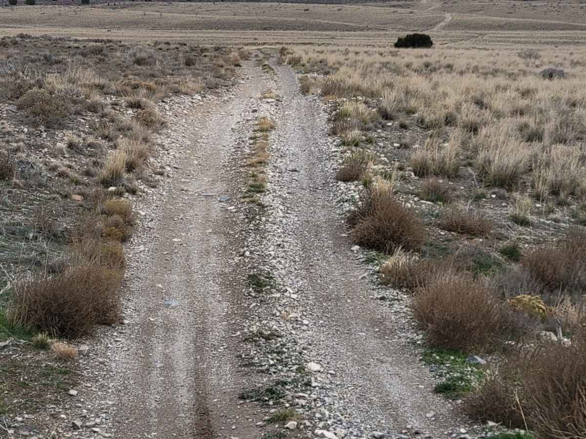 Pack Trail 1 photo 5