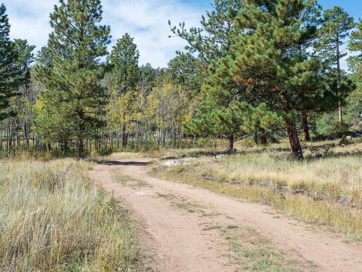 Forest Service Road 181C photo 5