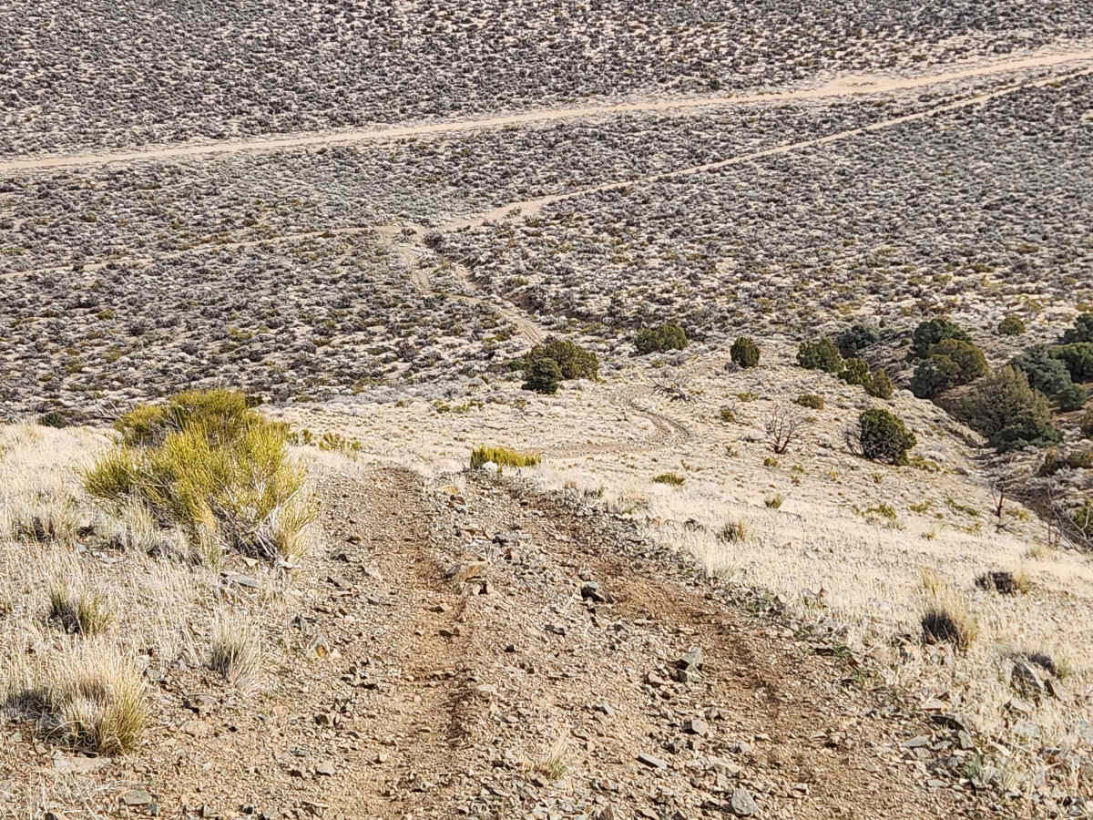 Hot Springs Mountains Senic Trail photo 4