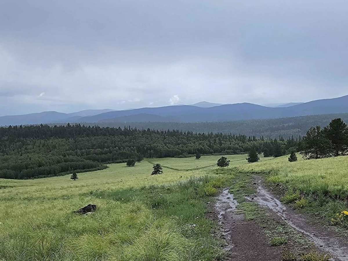 Lake Mountain photo 4