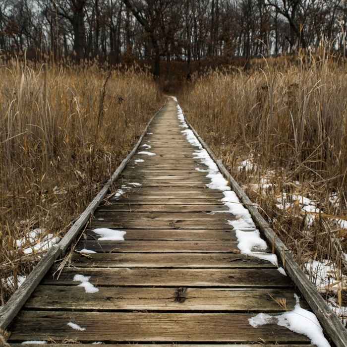 Boardwalk Near Scuppernong Springs Nature Loop