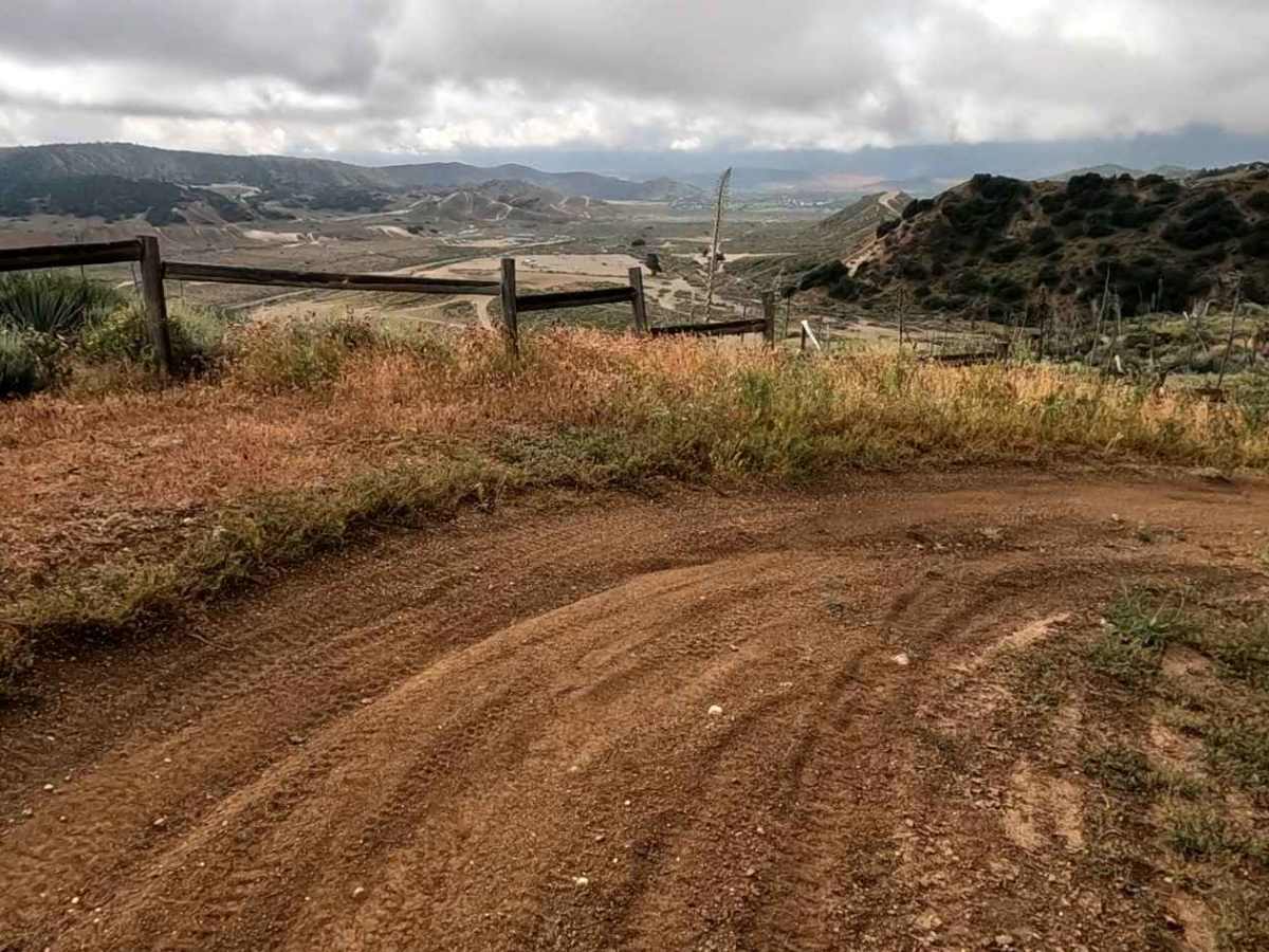 Coyote Trail photo 4