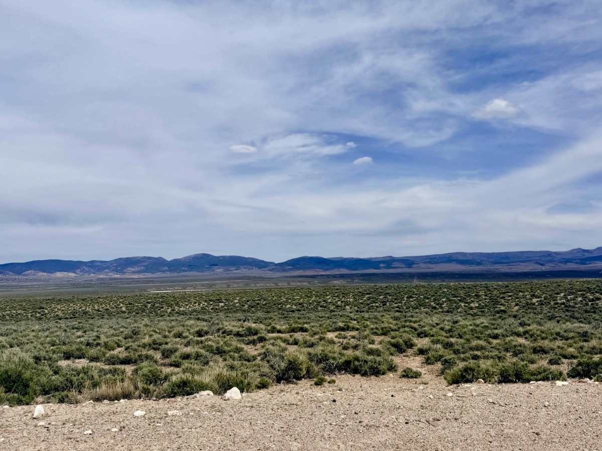 Monitor Valley Road photo 4