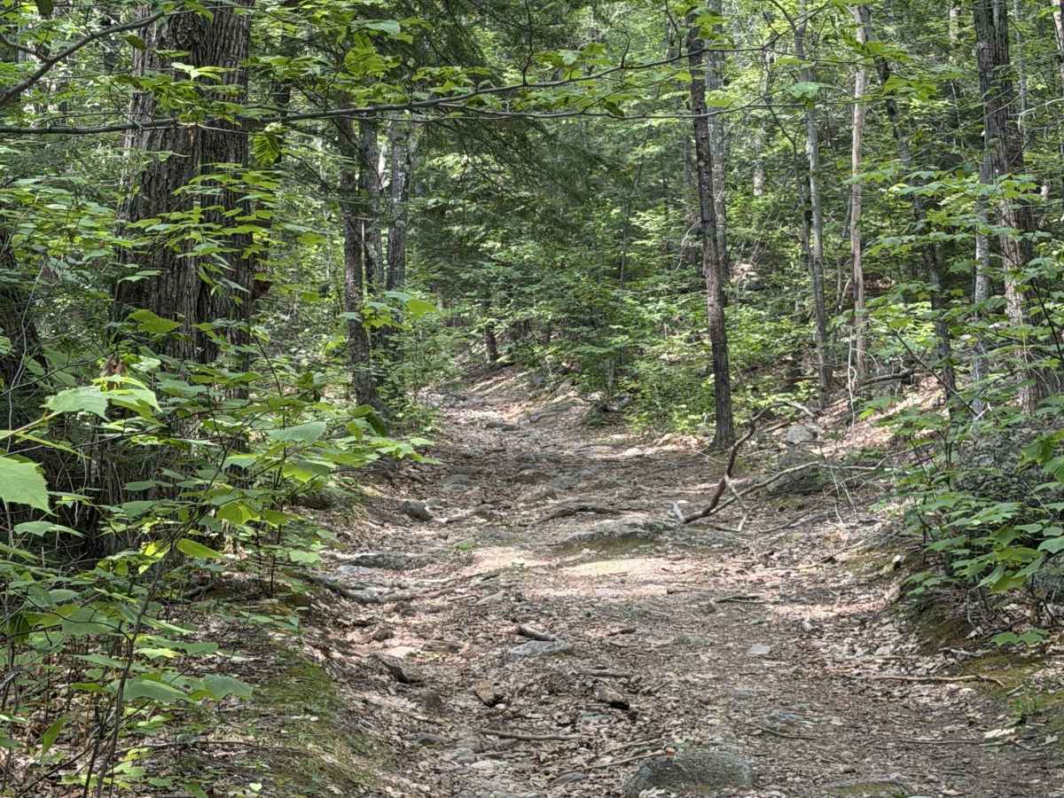 Collins Road trail photo