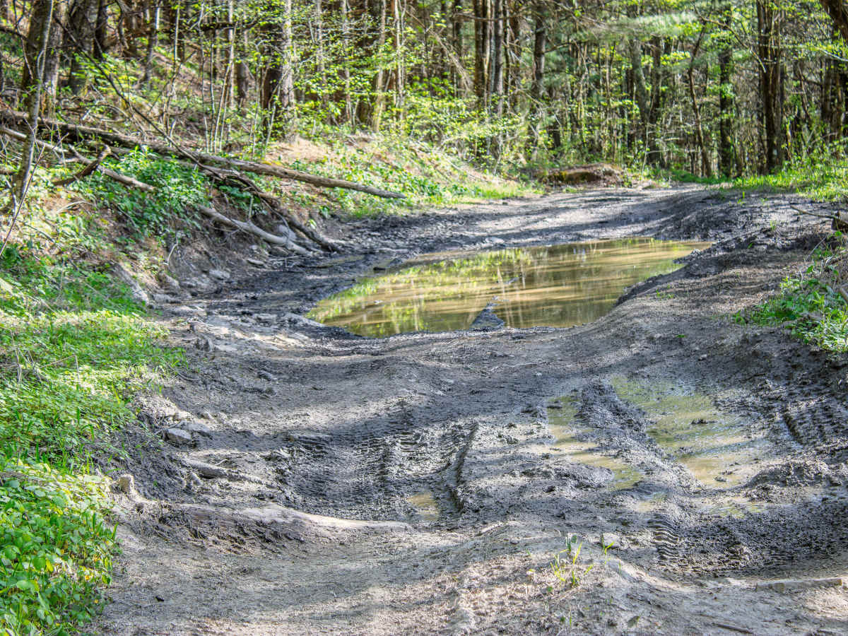 Pipeline Ridge photo 4