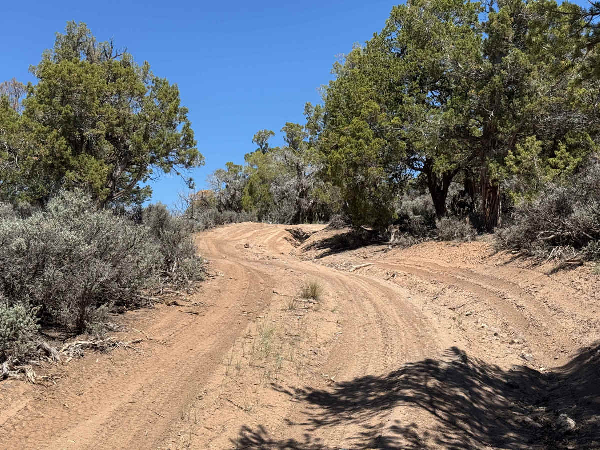 BLM 8474 photo 3